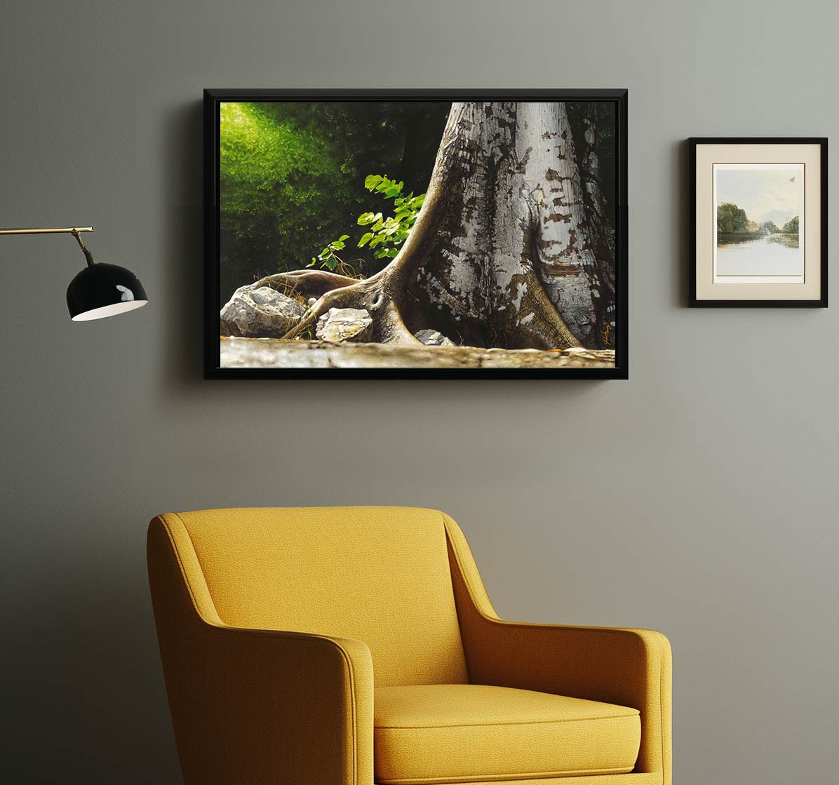 Taking Root - Image 3